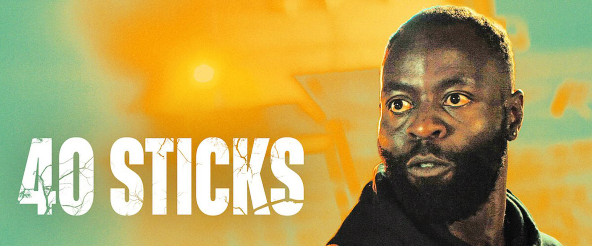 40 Sticks