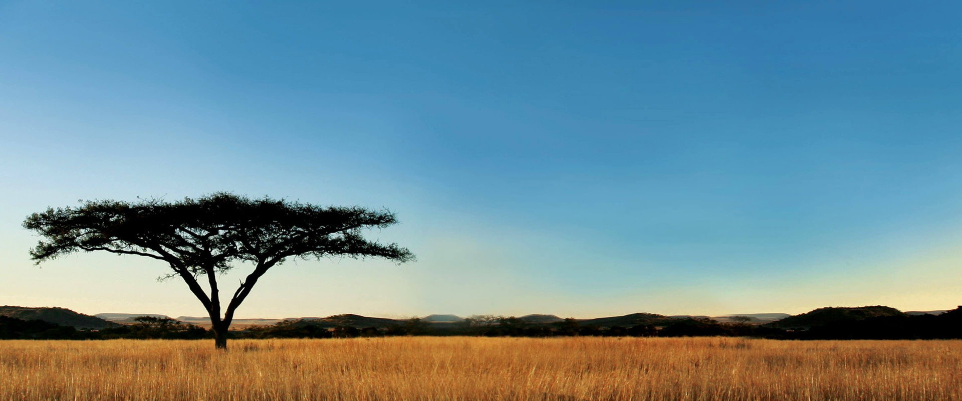 Nature's banner image