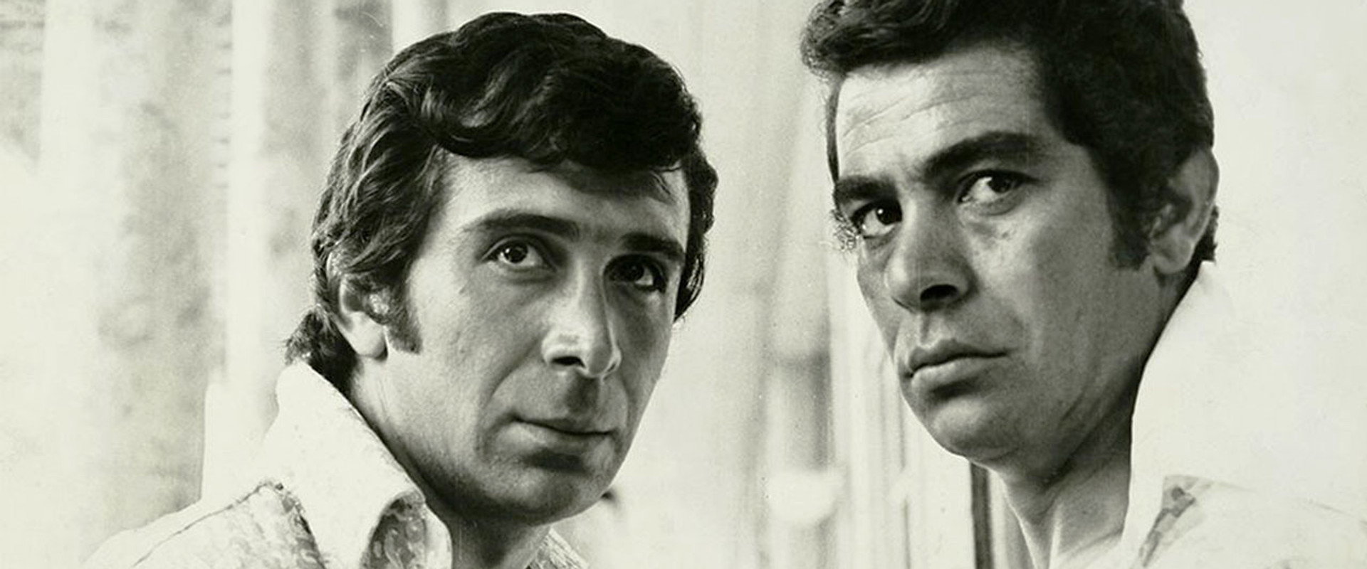 The Window's banner image