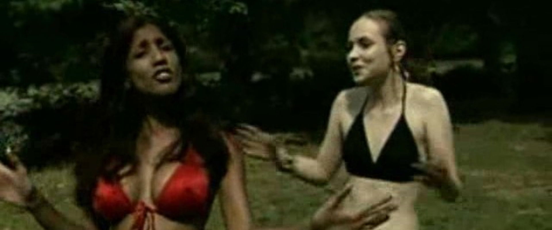 Erotic Survivor's banner image