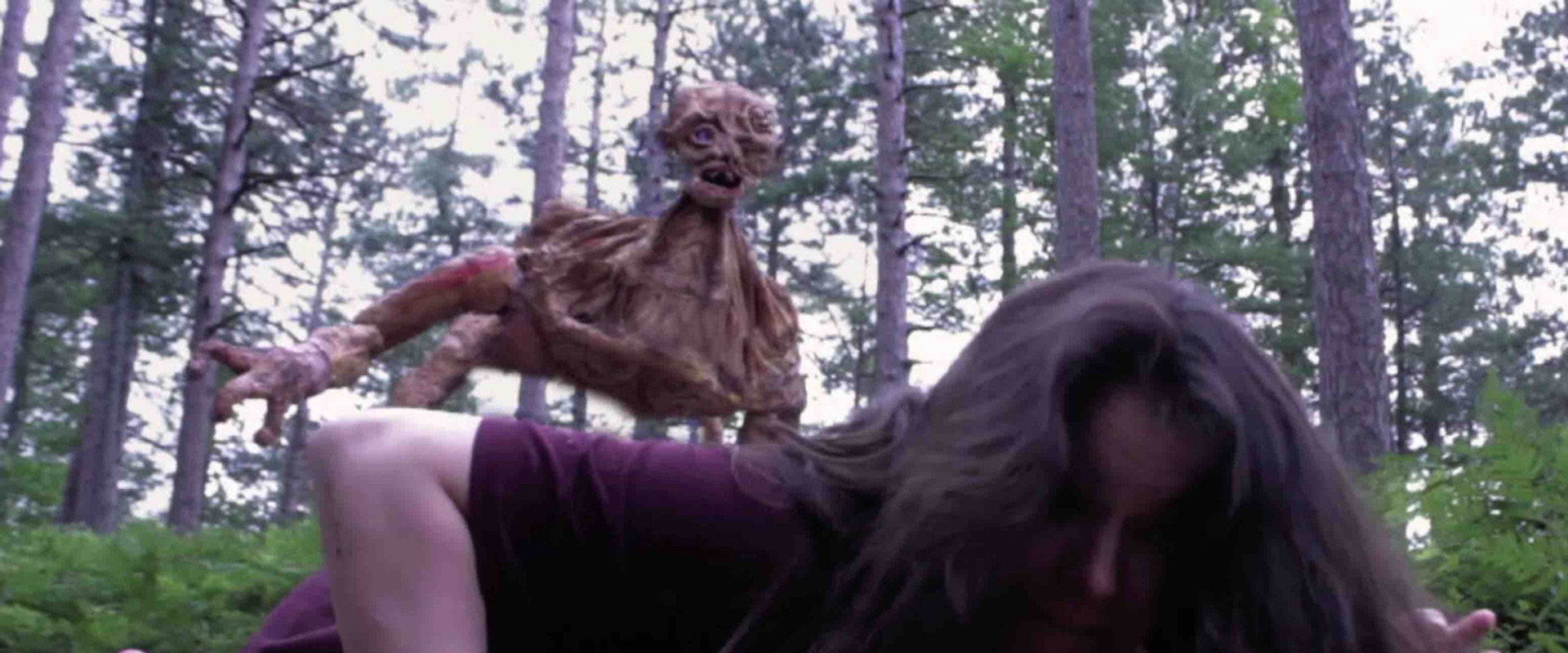 Monsters in the Woods's banner image