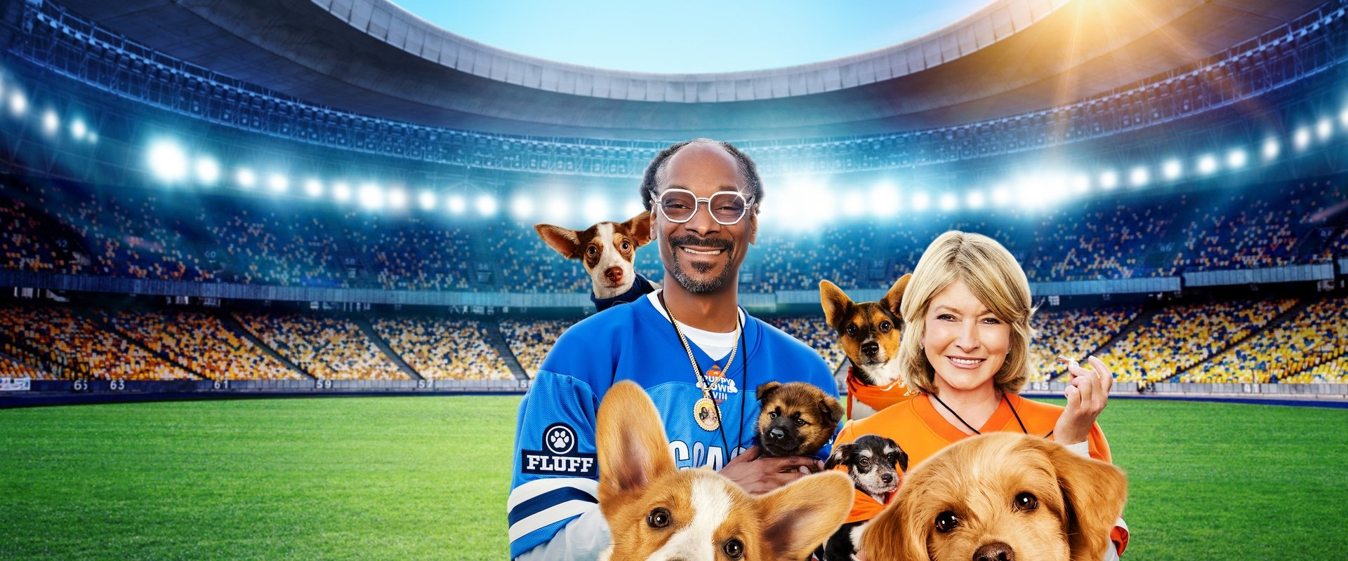 Puppy Bowl
