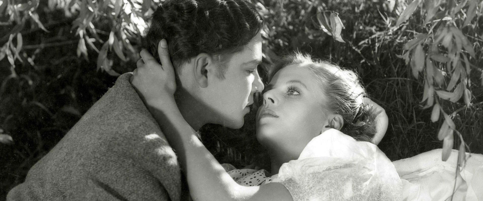 Yövartija vain…'s banner image