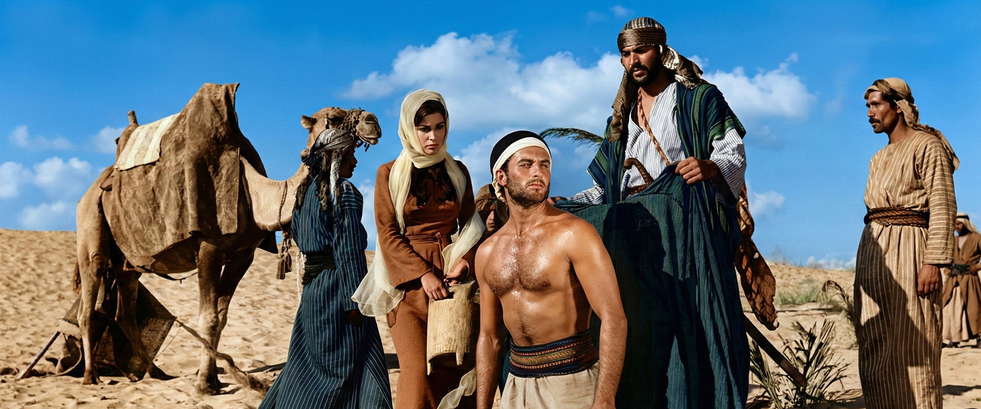 Cennet Fedaileri's banner image