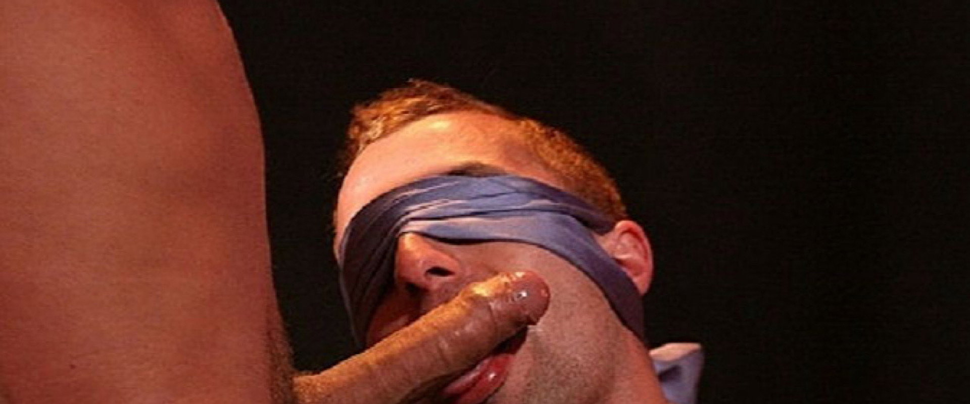 Master Cocks's banner image