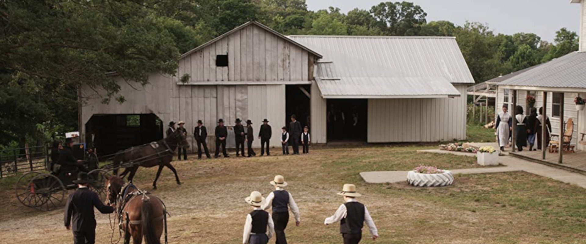 The Amish and the Reformation