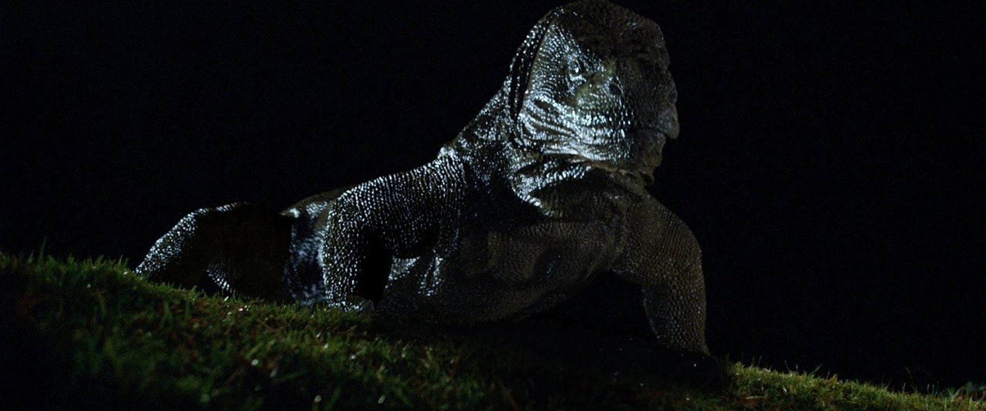 Komodo