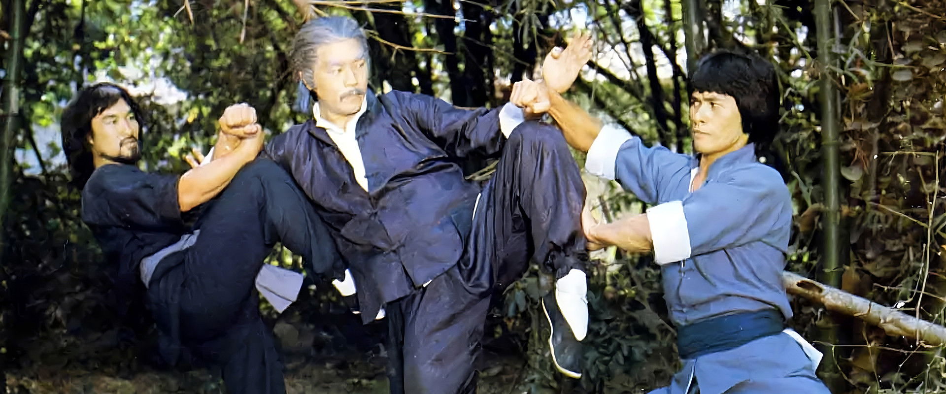 Fearless Dragons's banner image