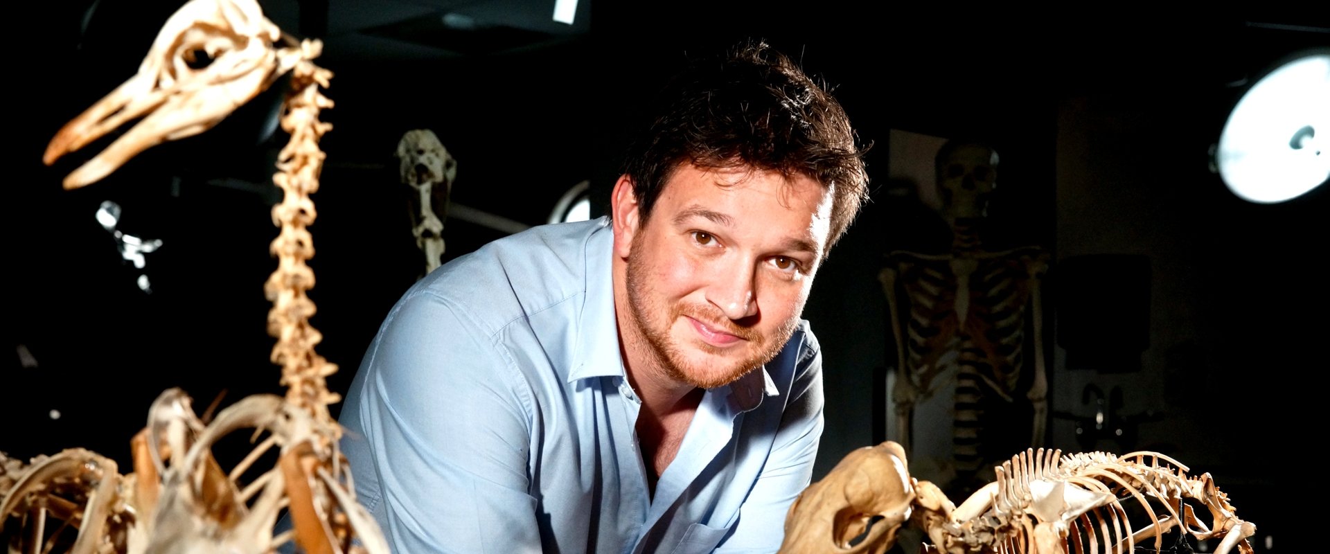 Secrets of Bones
