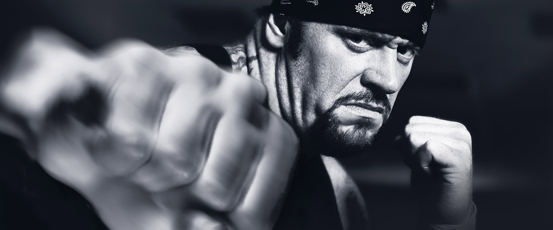 WWE Vengeance 2003's banner image