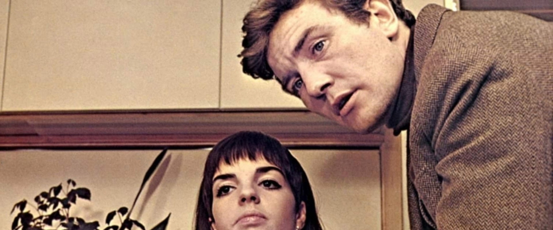Charlie Bubbles's banner image
