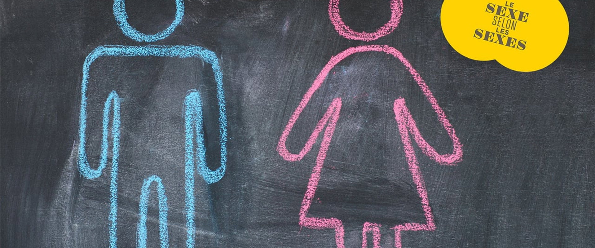 Le sexe selon les sexes