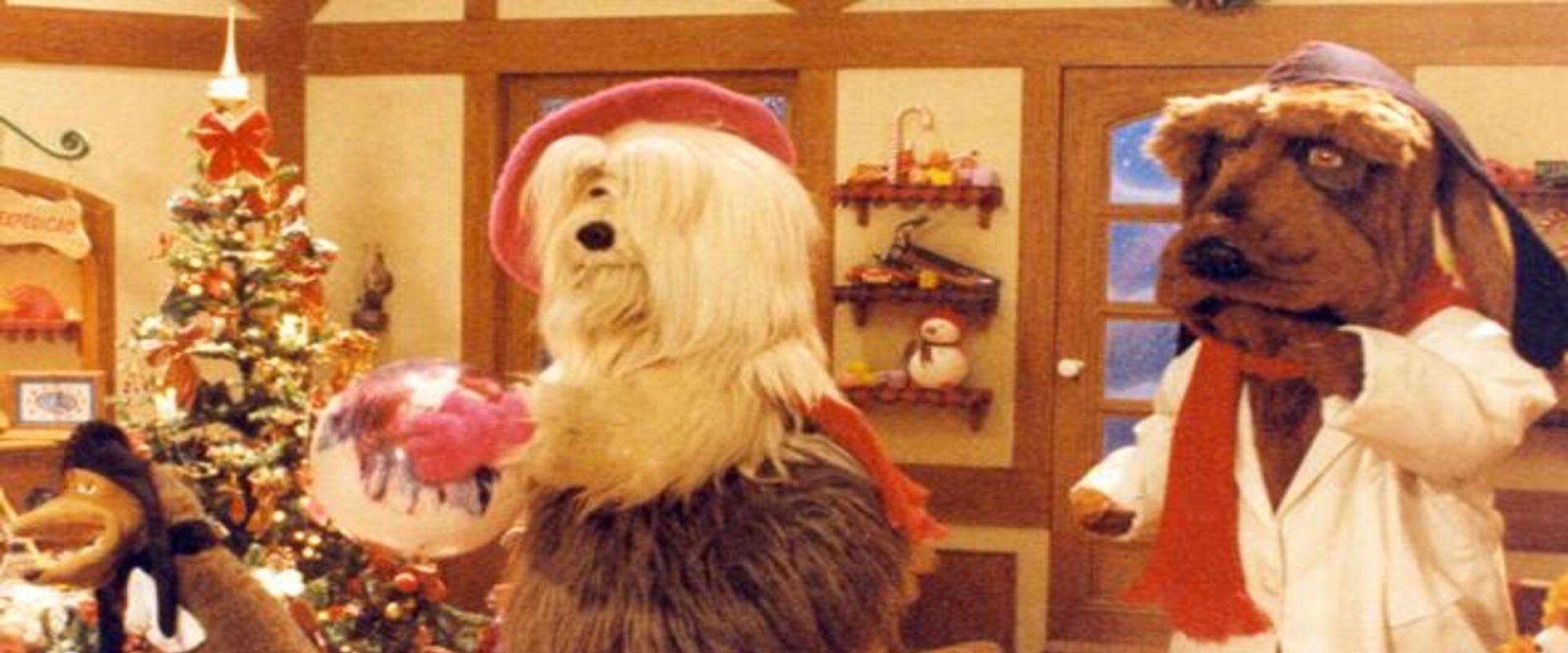 TV Colosso