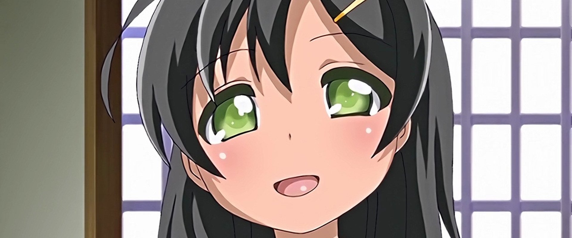 Ichinen Buri No The Animation
