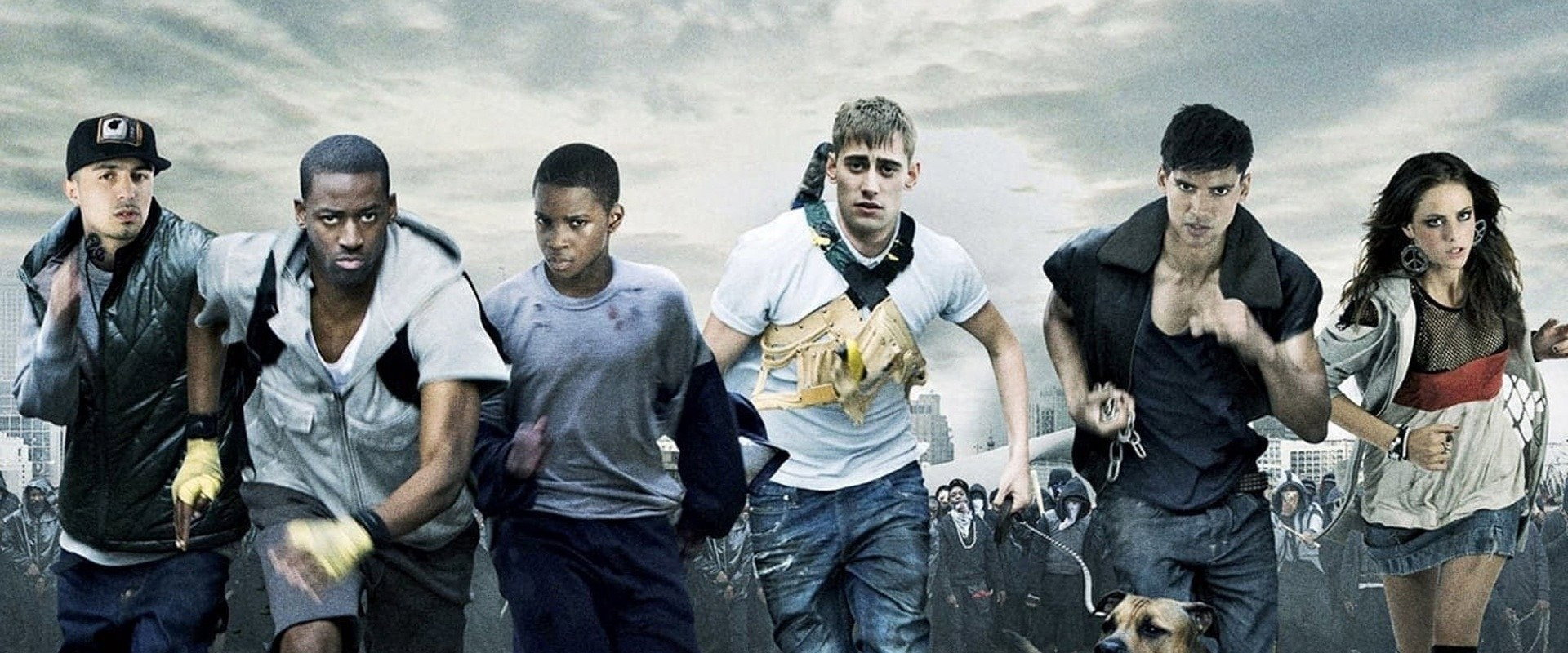 Shank's banner image