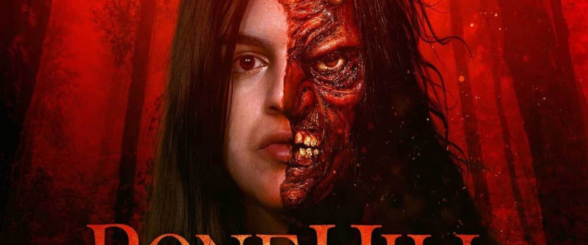 Bone Hill's banner image