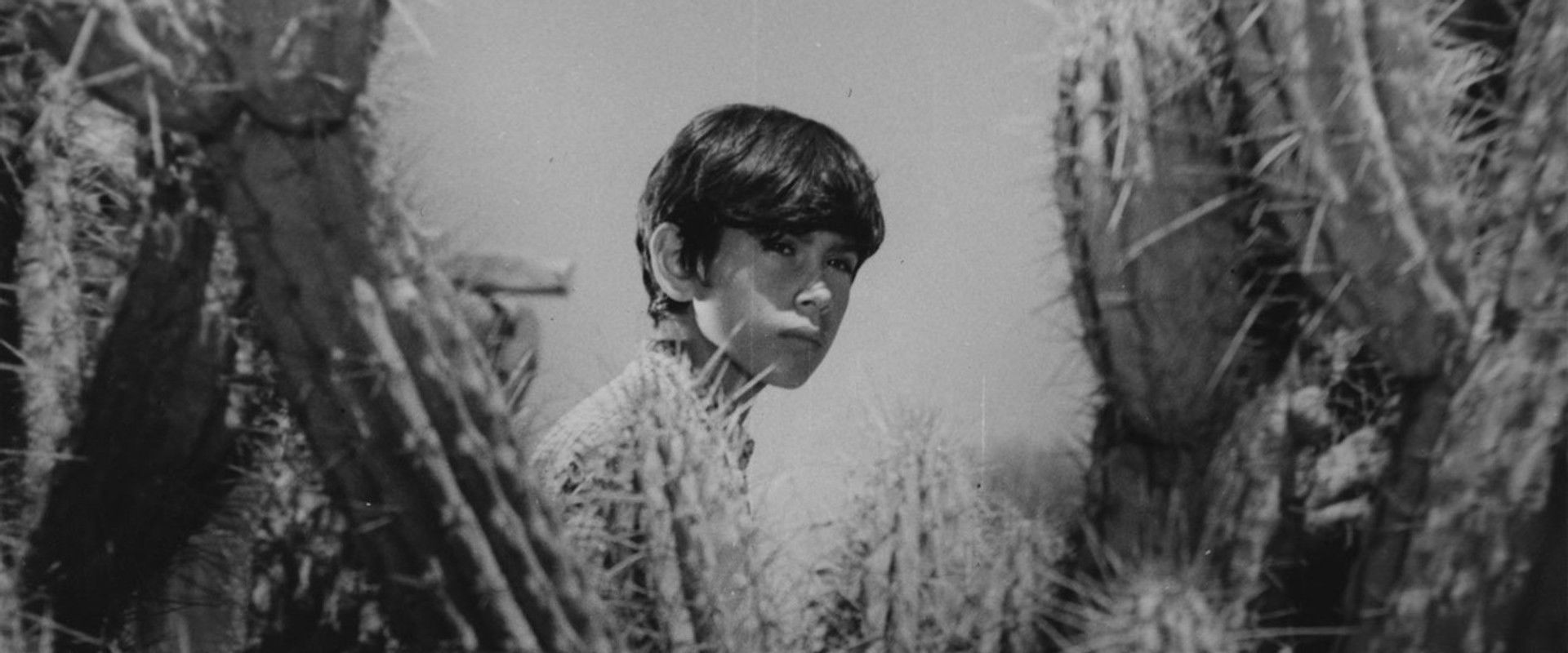 Shunko's banner image