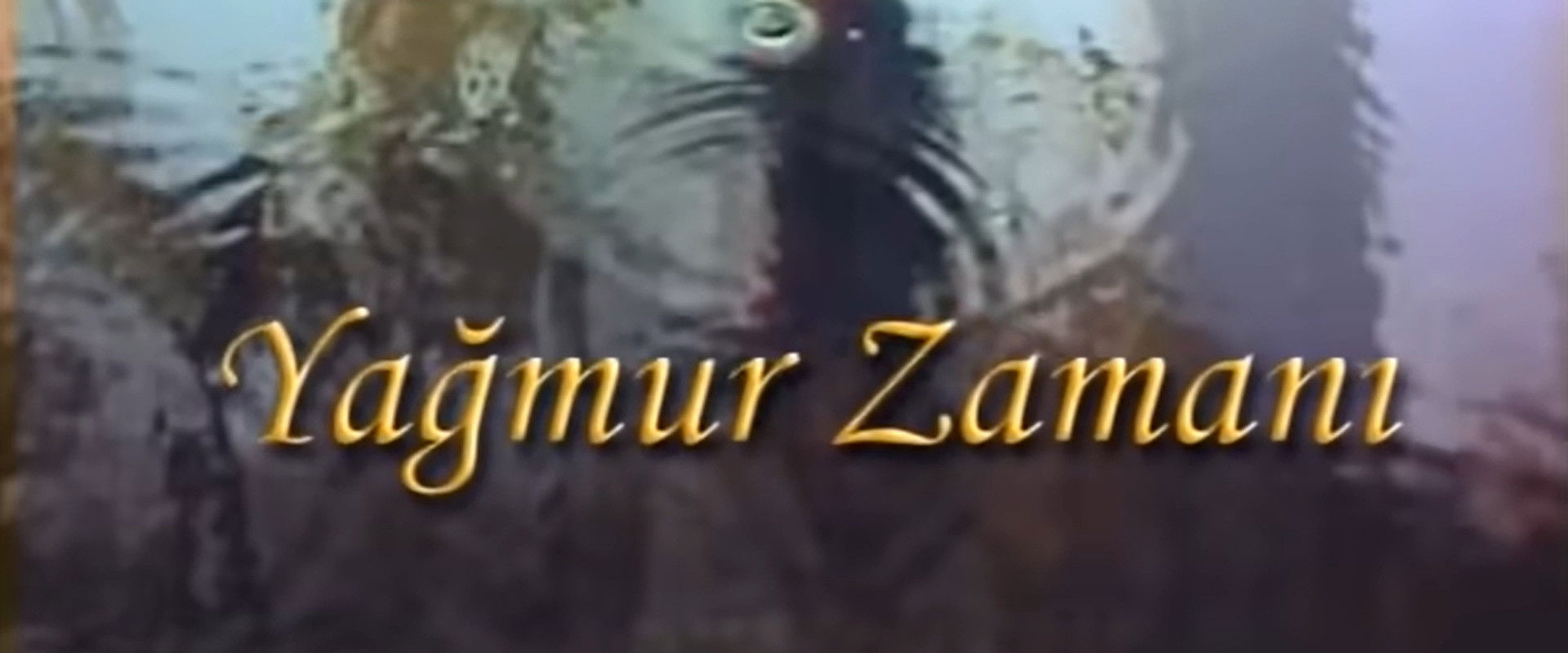 Yağmur Zamanı's banner image