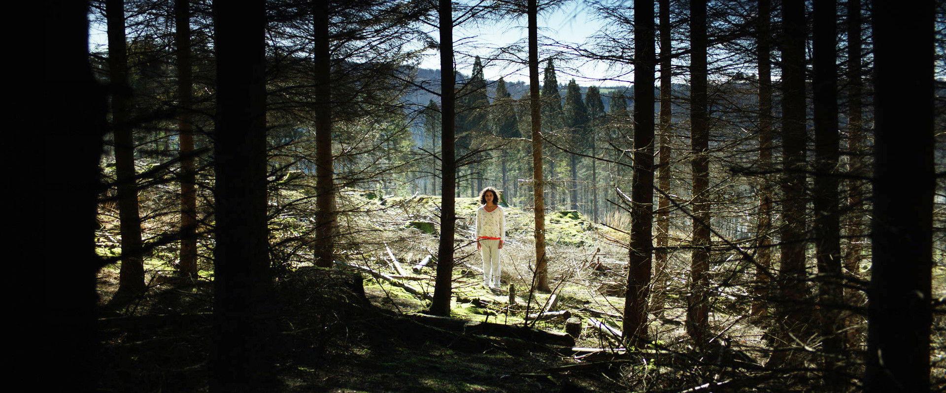 In the Rose Garden's banner image