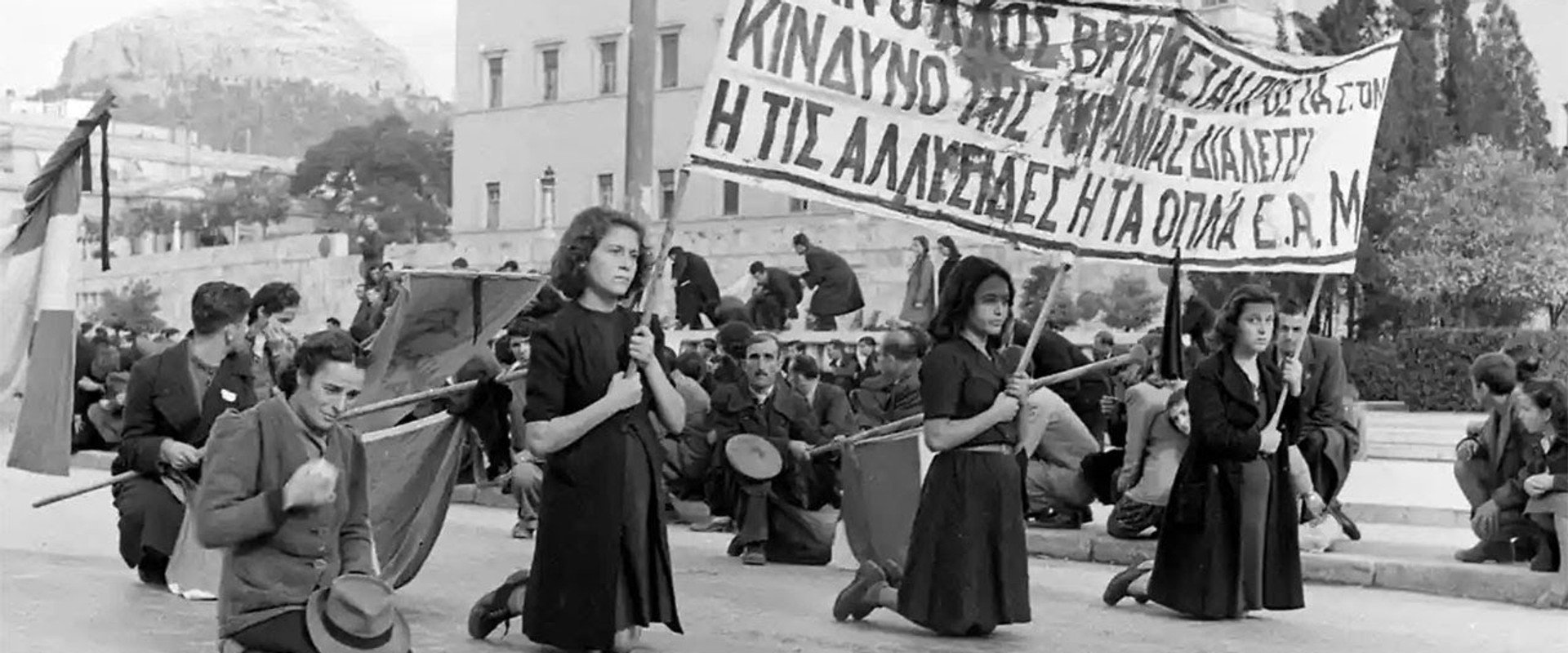 Beneath the Olive Tree's banner image