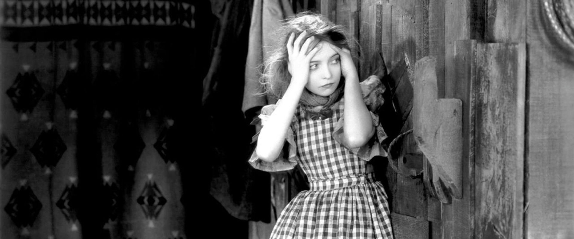 Hollywood's banner image