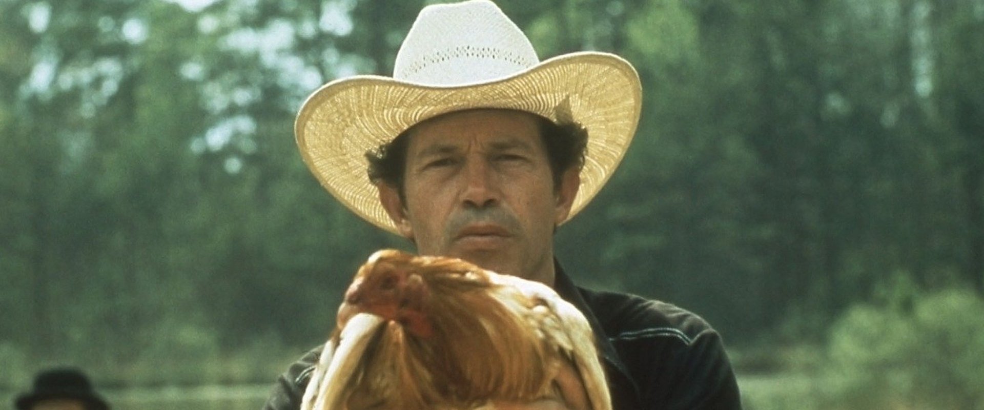 Cockfighter