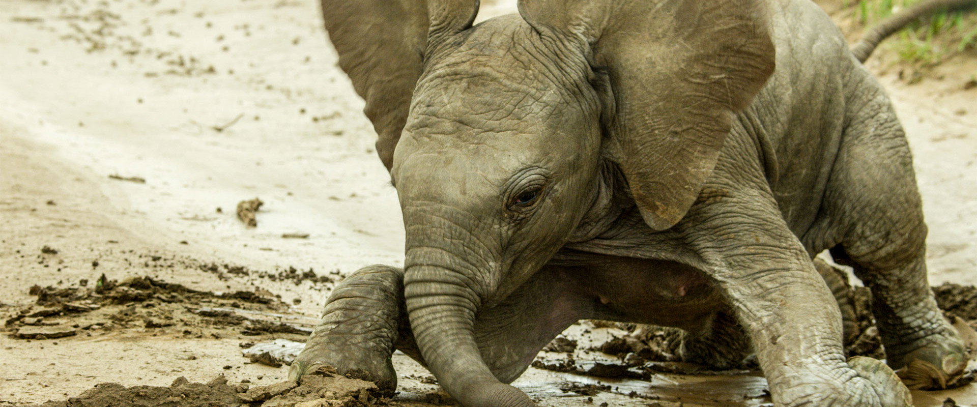 萌宝出生第一年