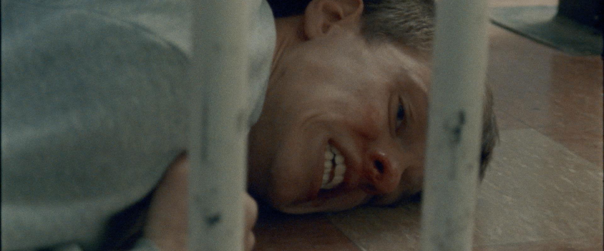 The Mouse's banner image