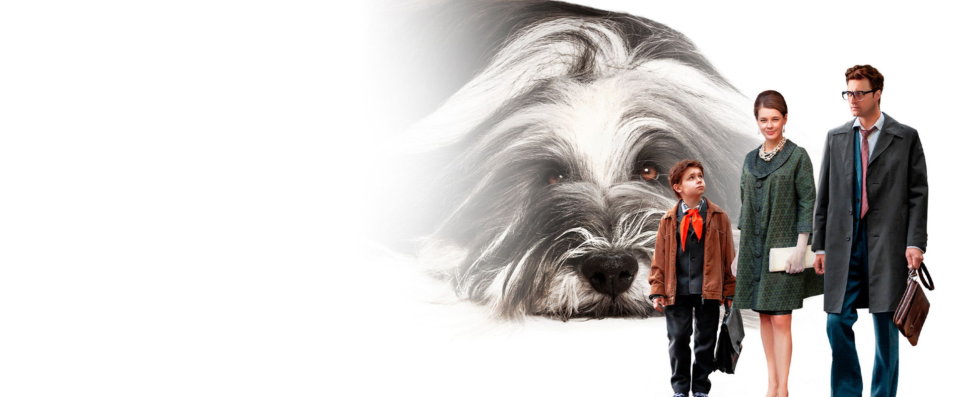 Everyone Dreams of a Dog's banner image