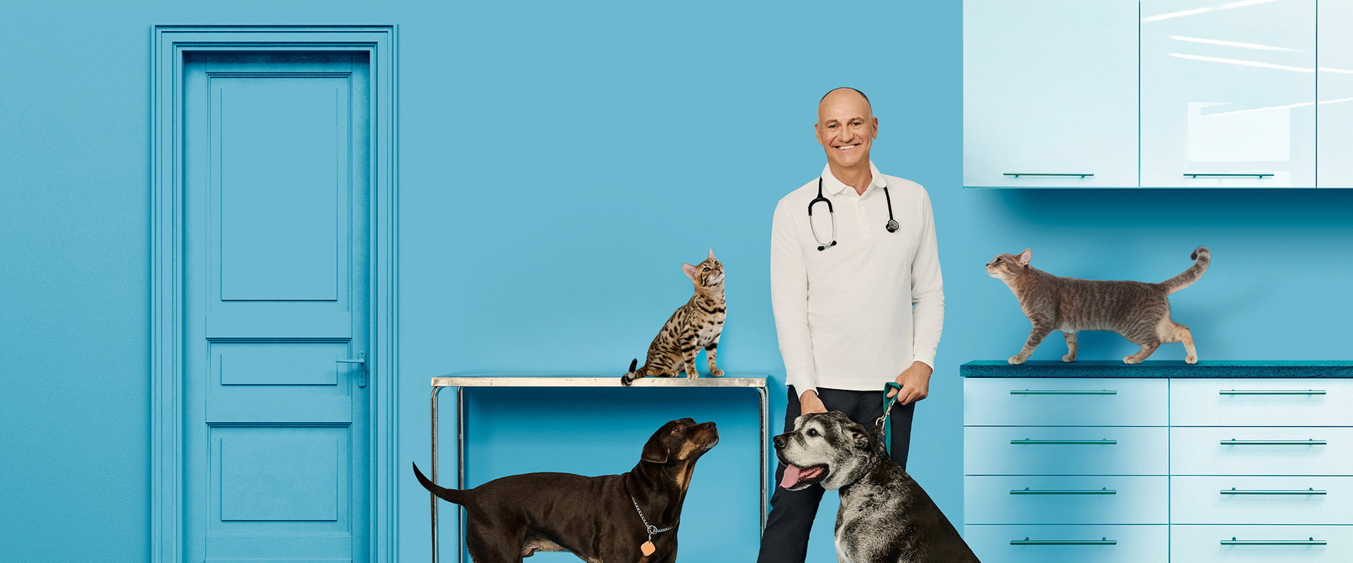 Vie de vet