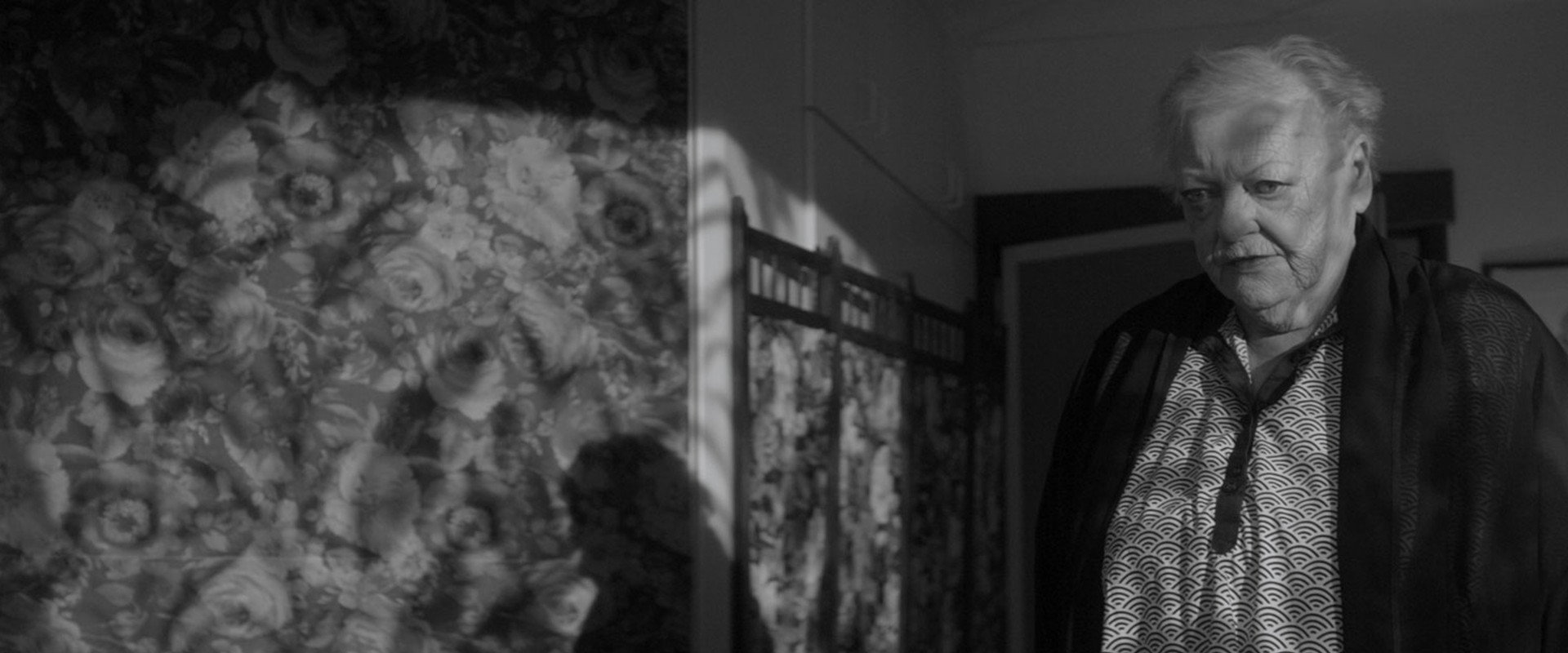 Olga's Eyes's banner image