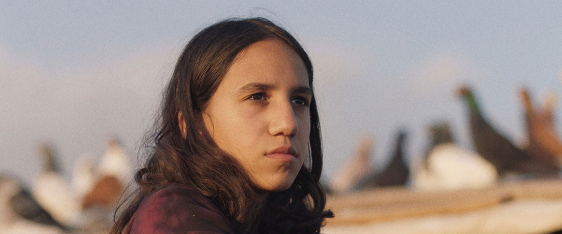 Palestine Islands's banner image