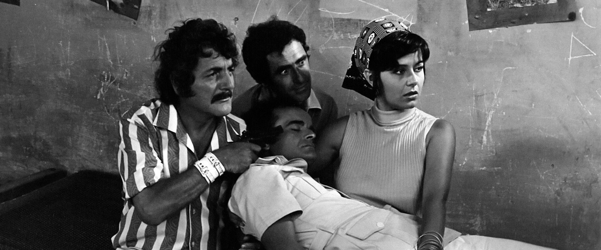 Malteses, Burgueses e às Vezes...'s banner image