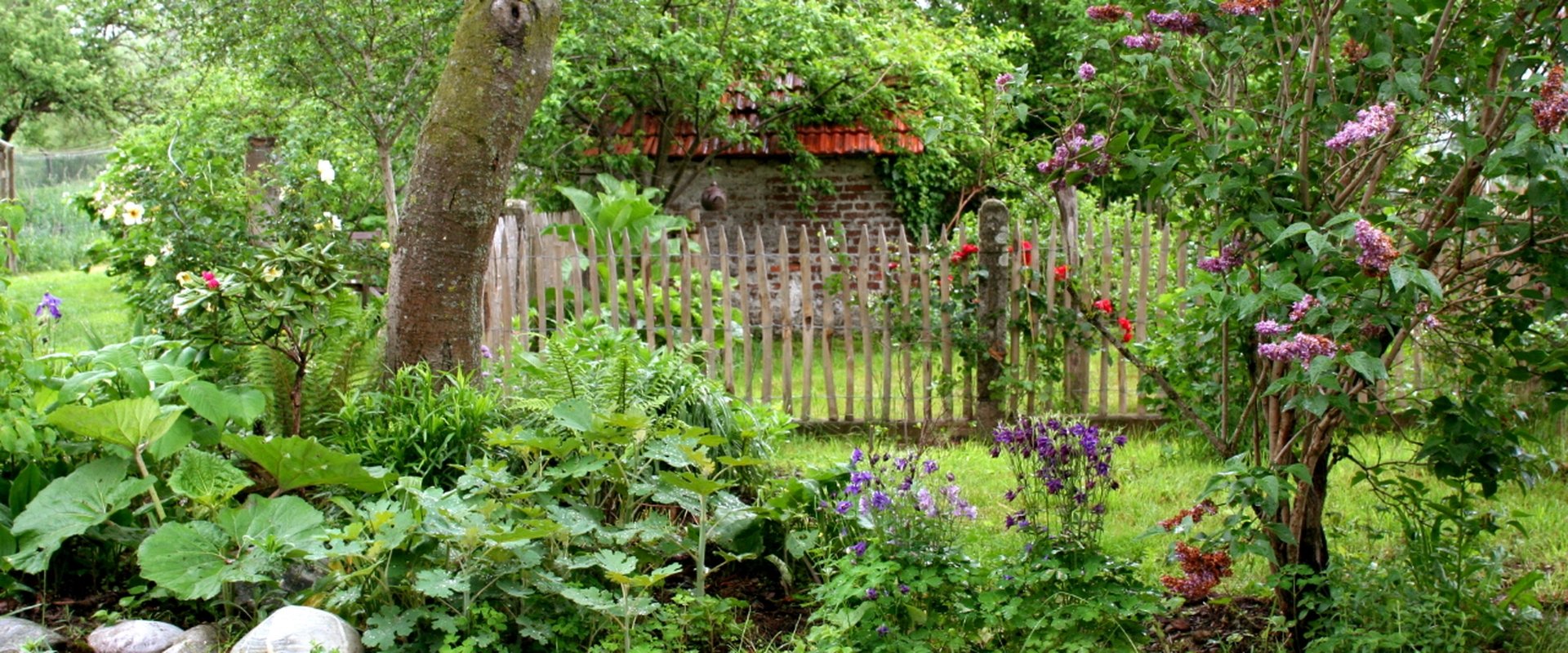 Geheimnisvoller Garten