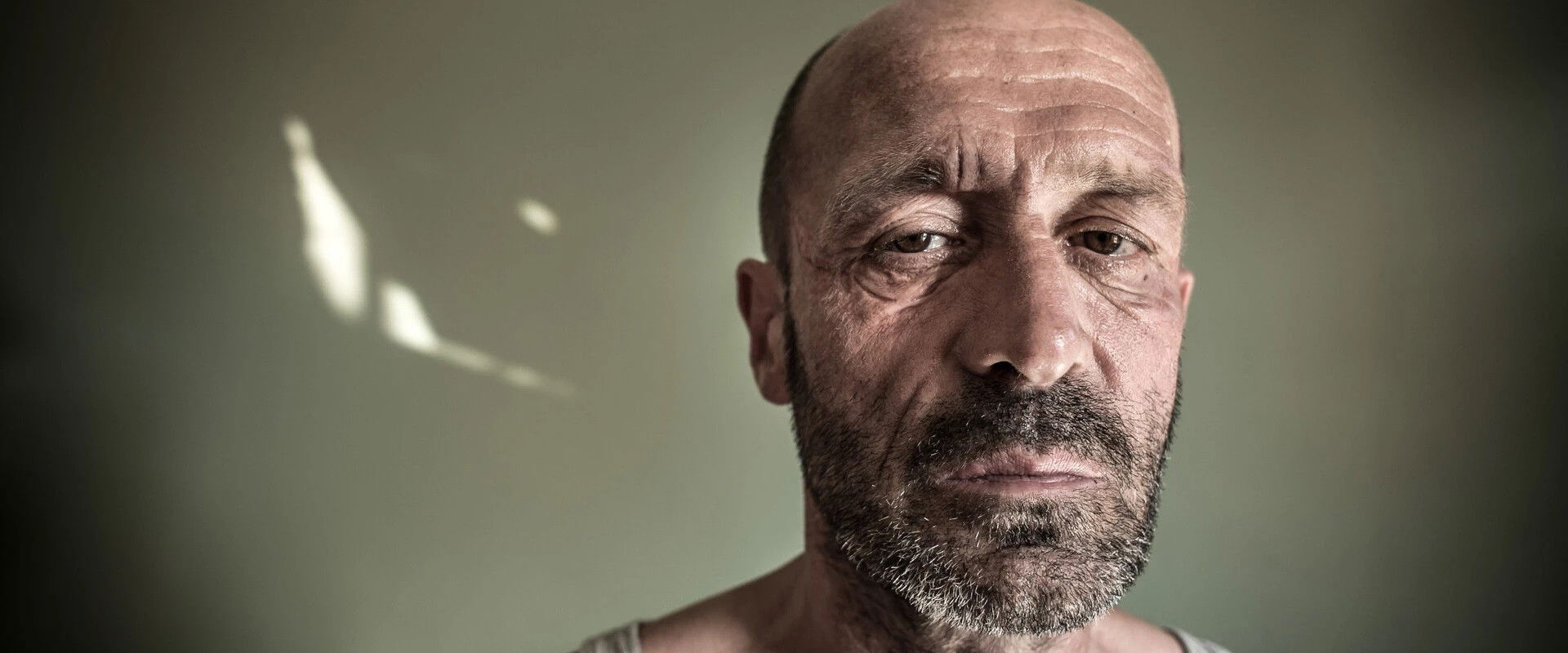 Le Casse's banner image