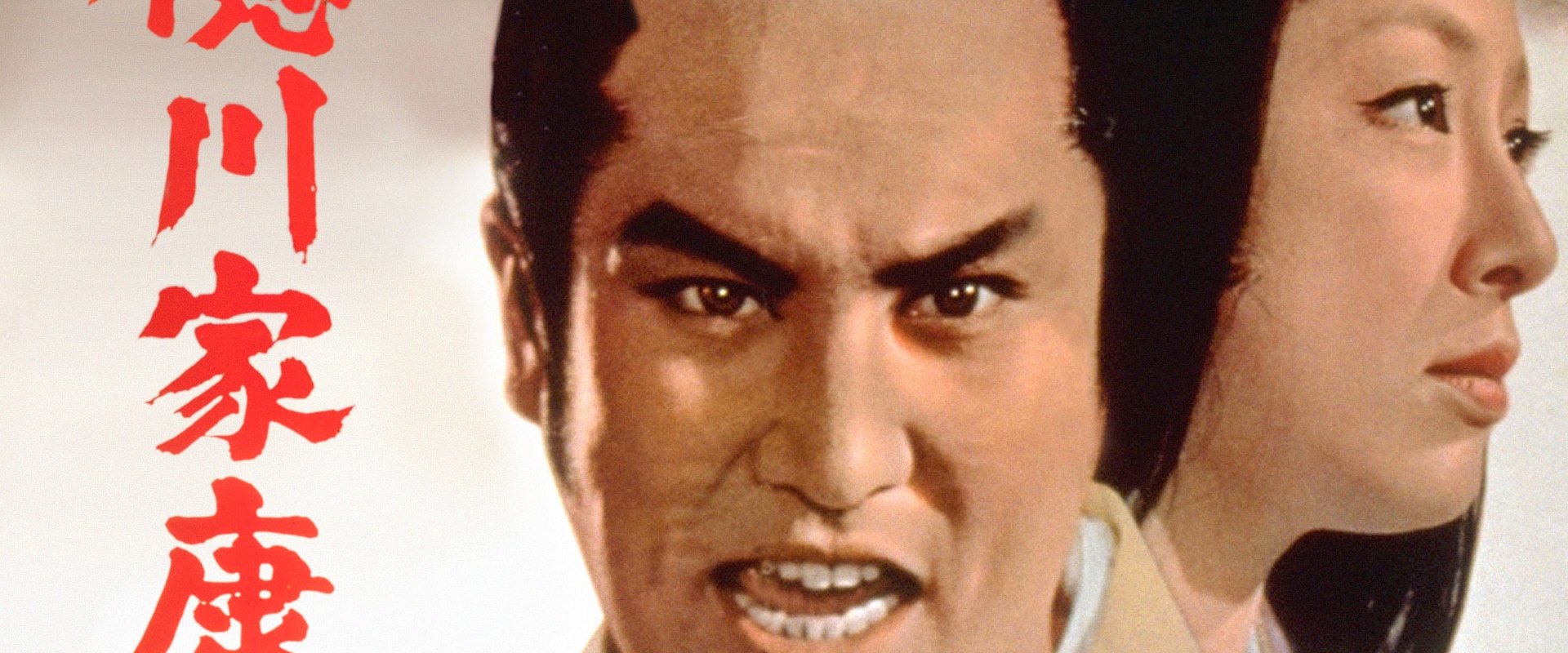 Lord Tokugawa Ieyasu