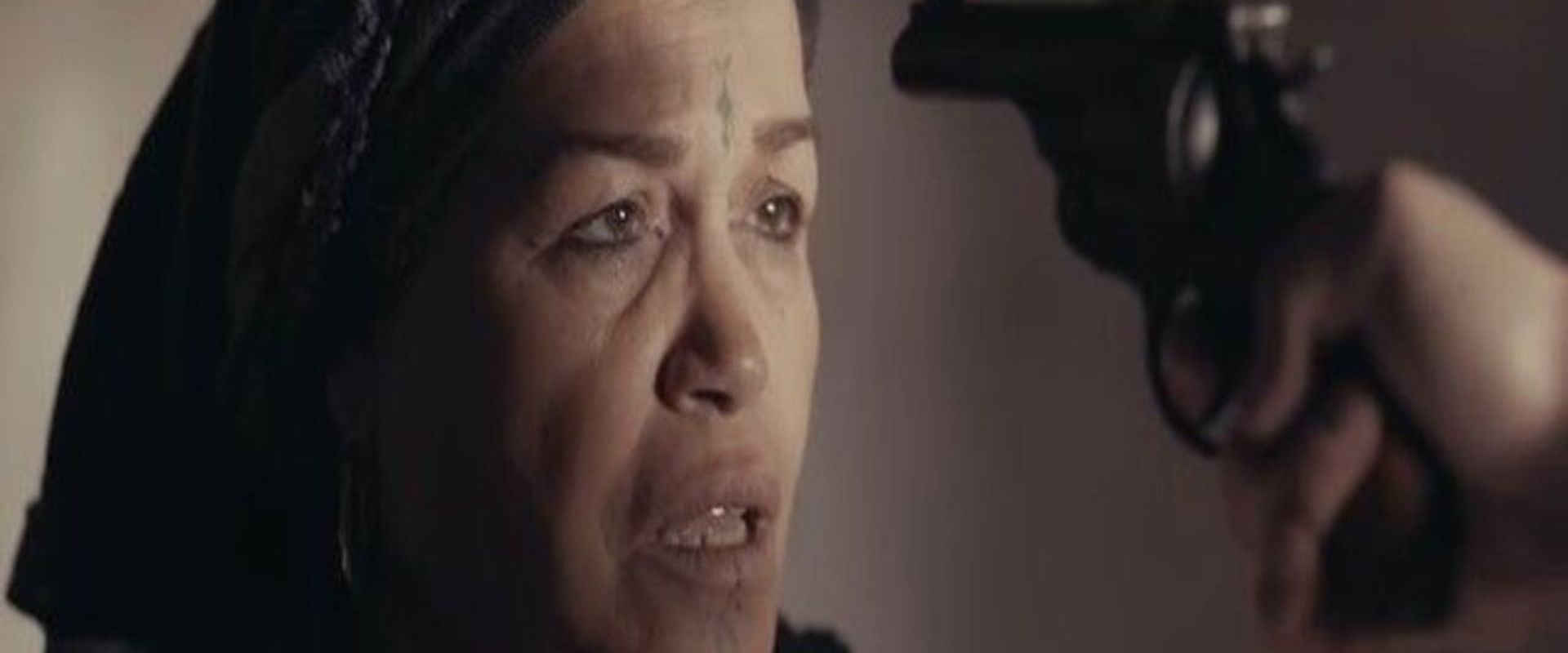 Qalb Al-Theeb's banner image