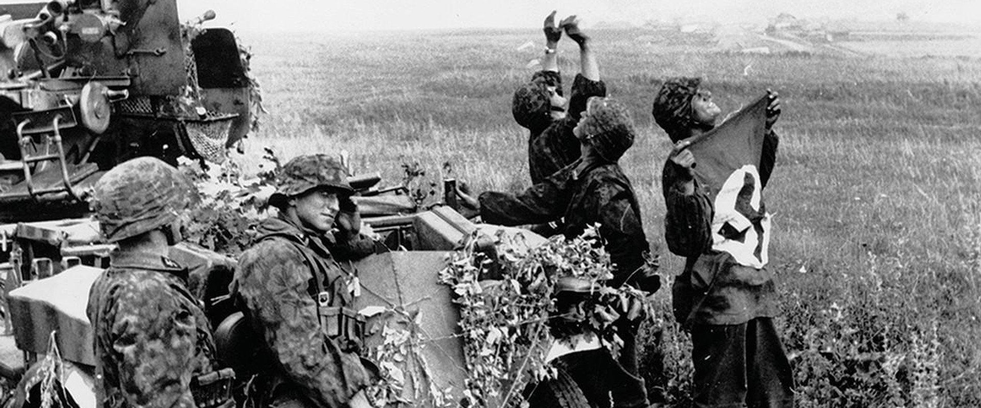 Das Reich, une division SS en France (6 juin 1944-8 mai 1945)