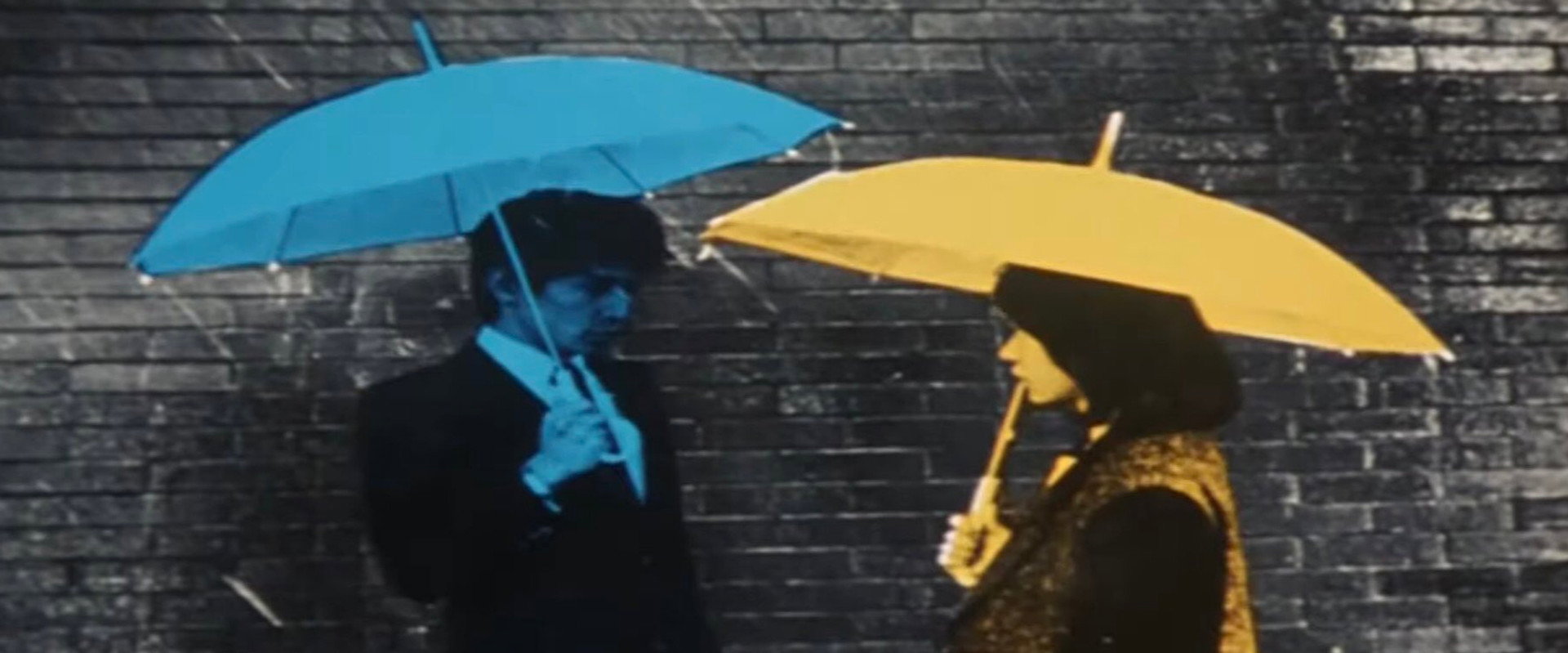 遇到百分之百的女孩