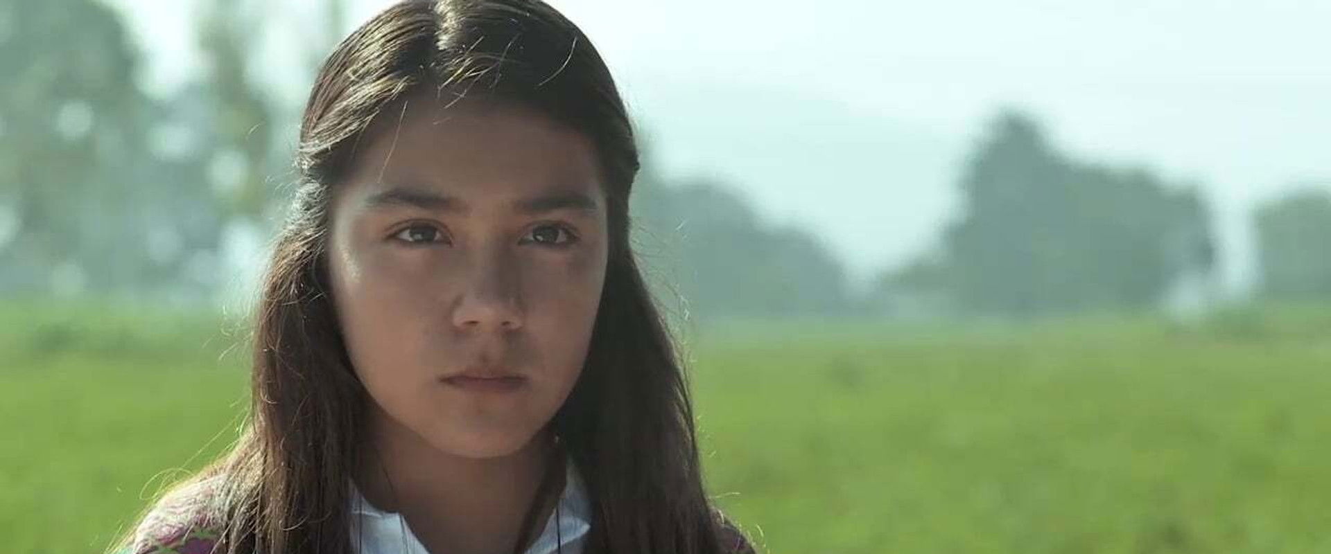 Cipriana's banner image