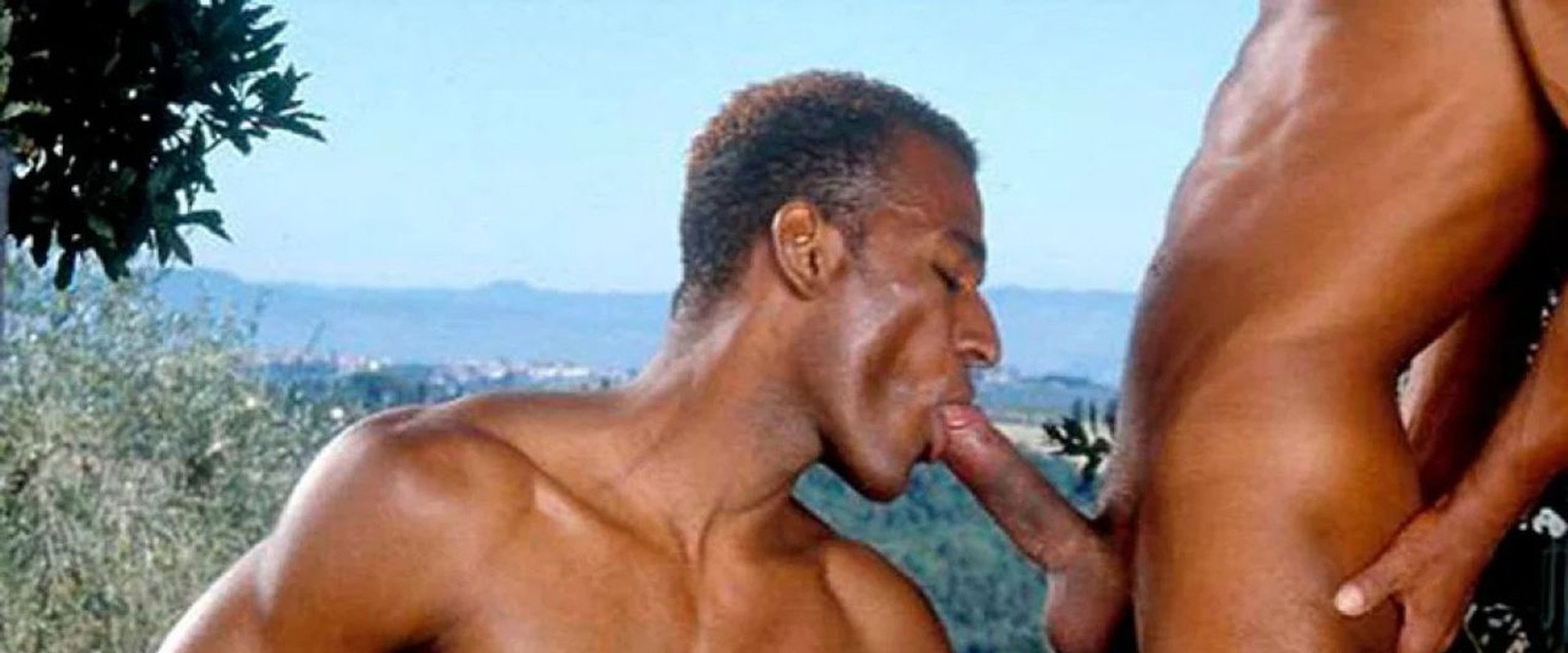 Hotel Cazzo's banner image
