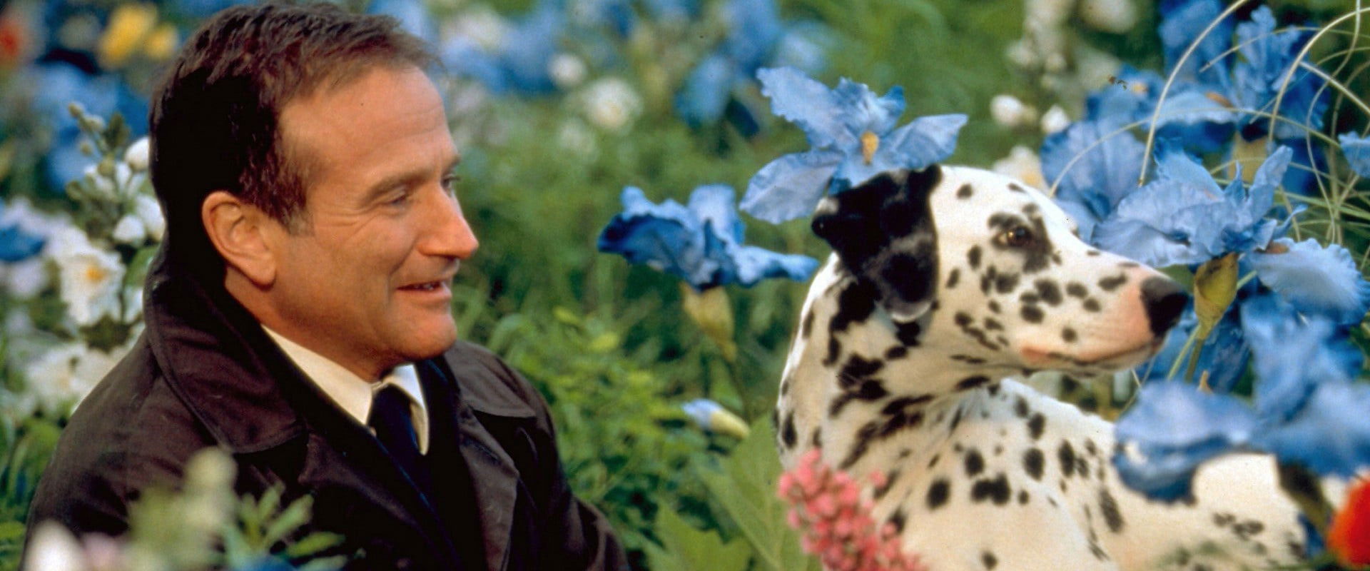 Taivaan tuolla puolen