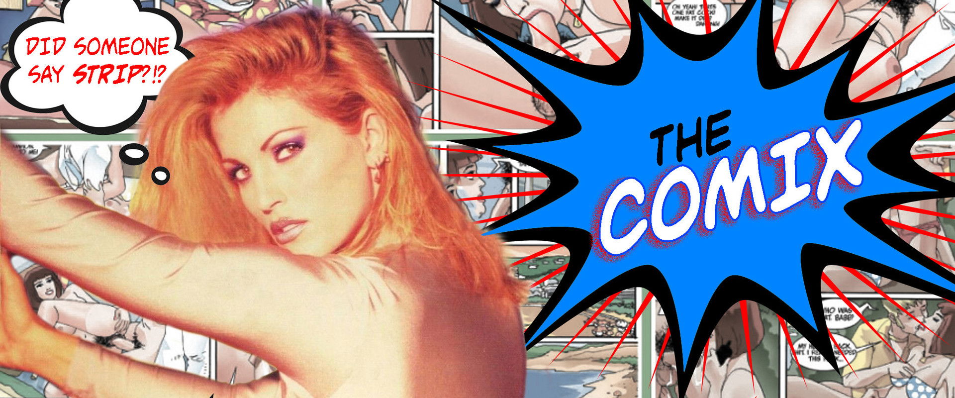 The Comix's banner image