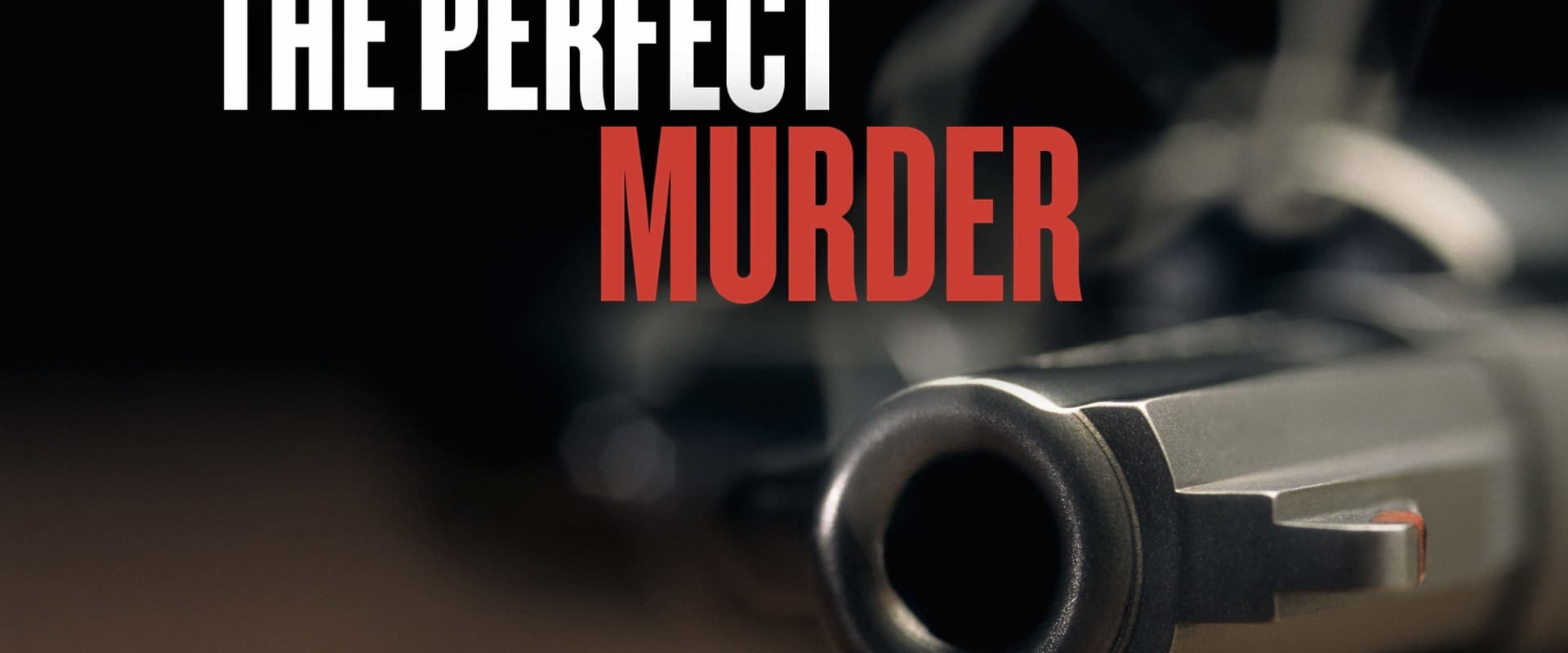 The Perfect Murder