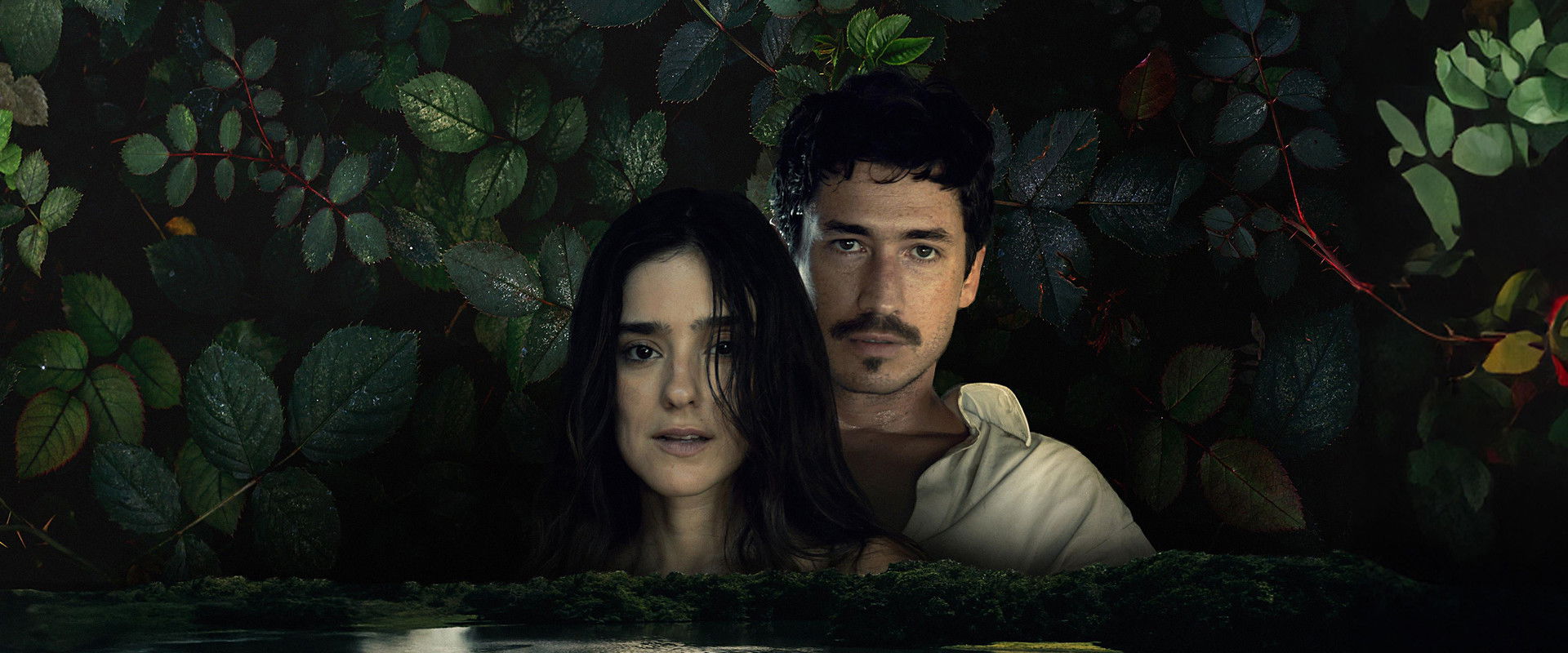 The Vortex's banner image