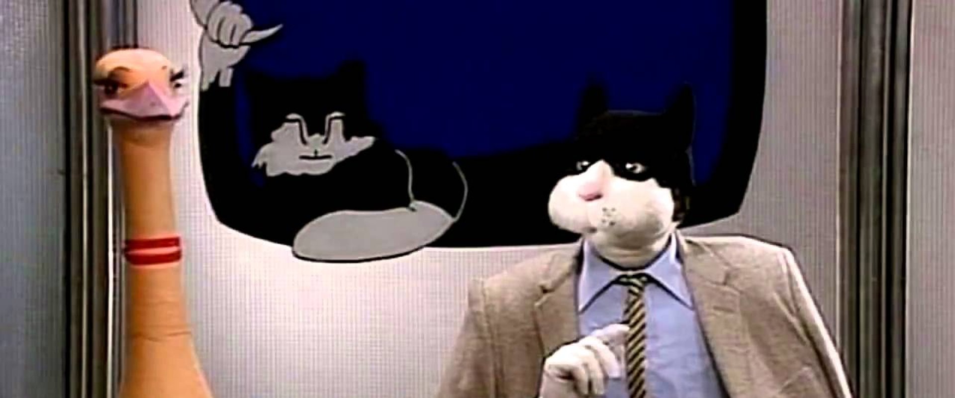 Telecat
