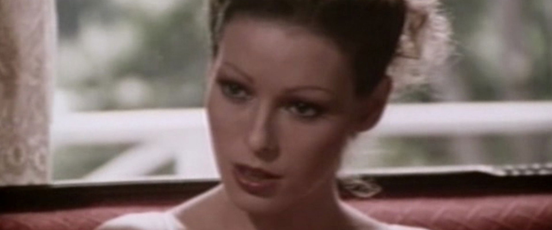 Memphis Cathouse Blues's banner image