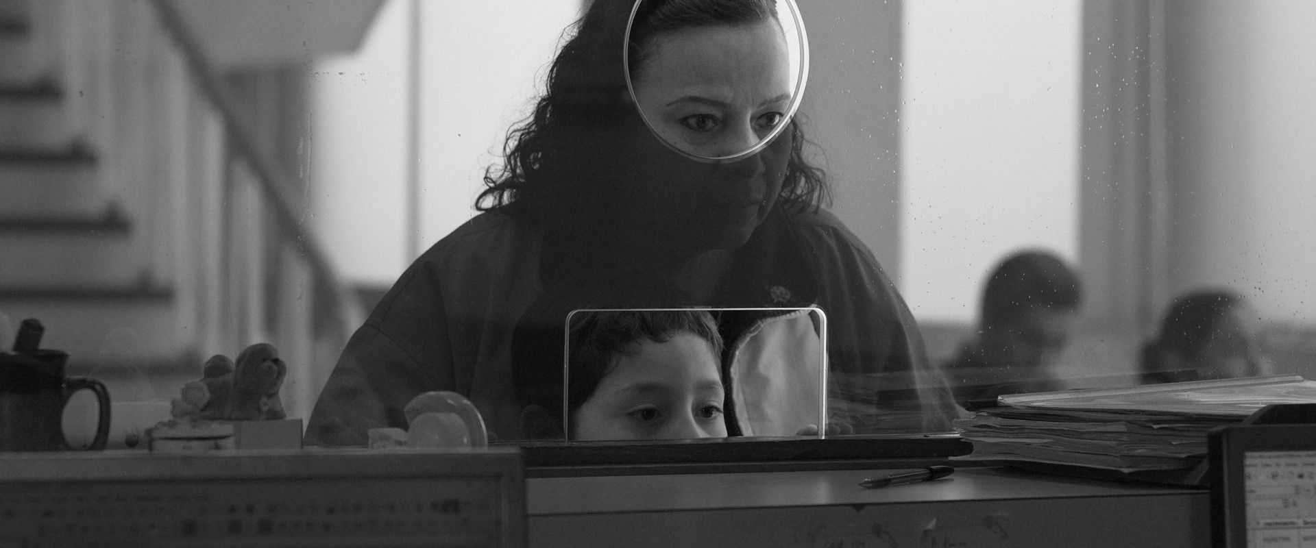 Flies's banner image