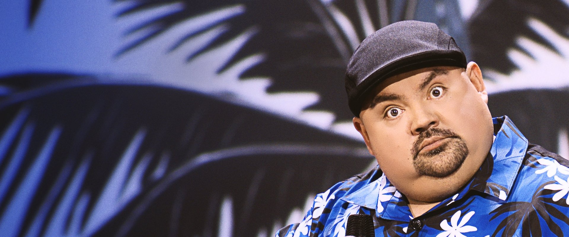 Gabriel Iglesias: One Show Fits All