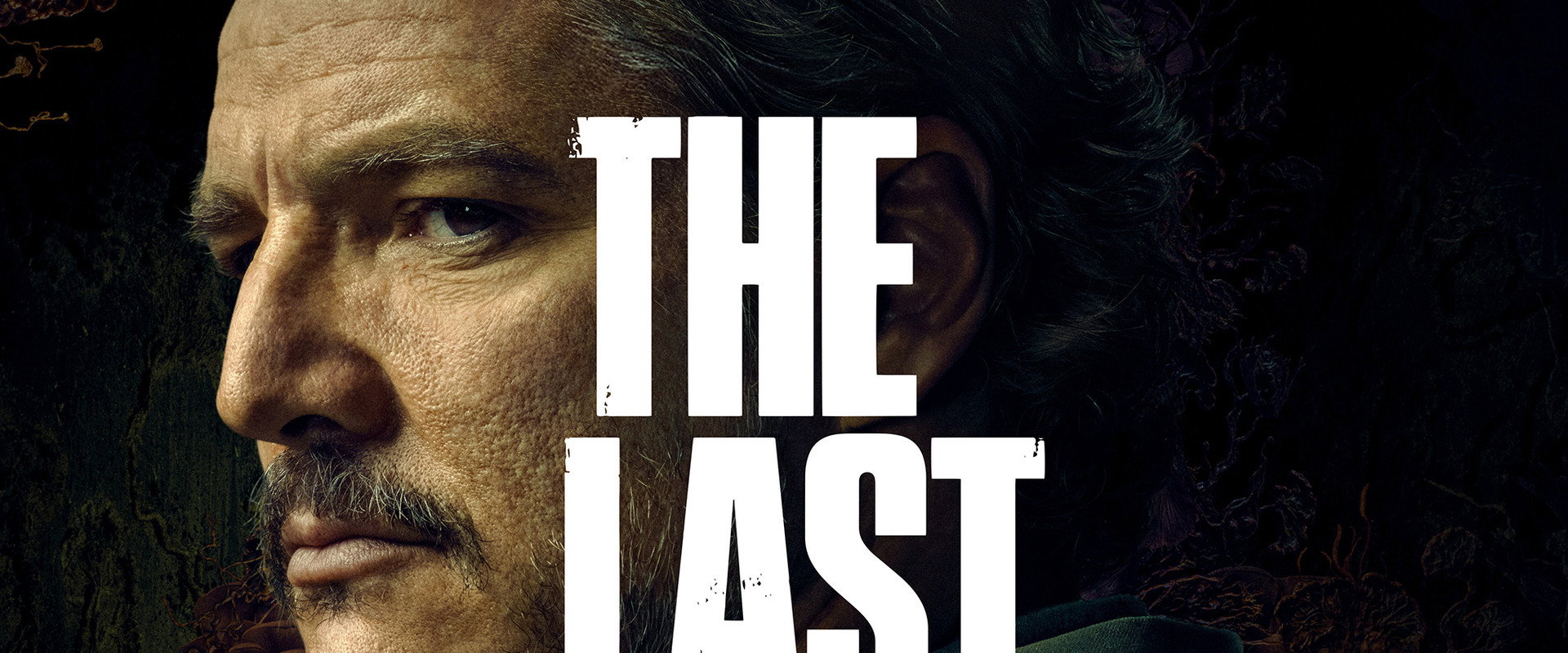 The Last of Us